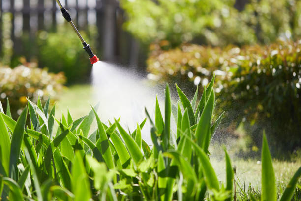 Tamper-Resistant Bait Stations for Rodents in Delavan