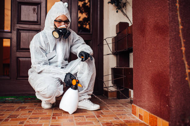 Attic and Crawl Space Rodent Treatment in Delavan