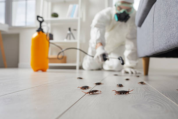Commercial Rodent Management in Delavan